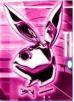 lapin